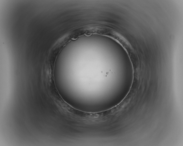 X0000115561111200911061547