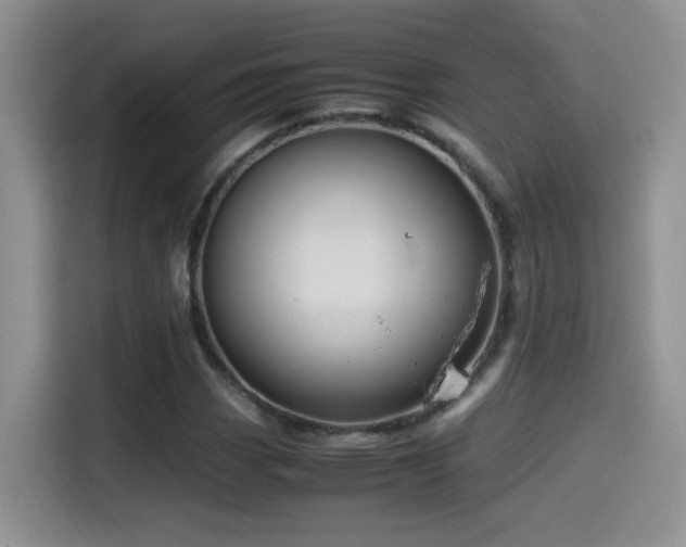 X0000115561113200911061547