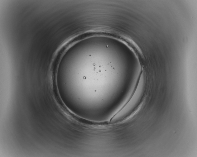 X0000115561114200911061547