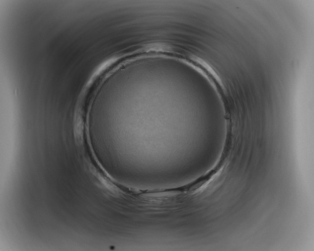 X0000115561115200911061547