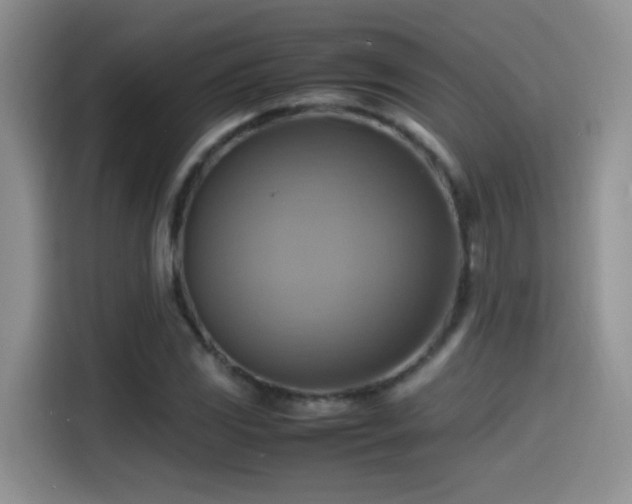 X0000115561117200911061547
