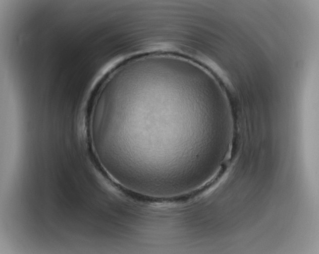 X0000115561118200911061547