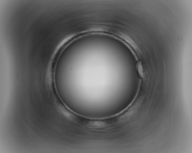 X0000115561119200911061547