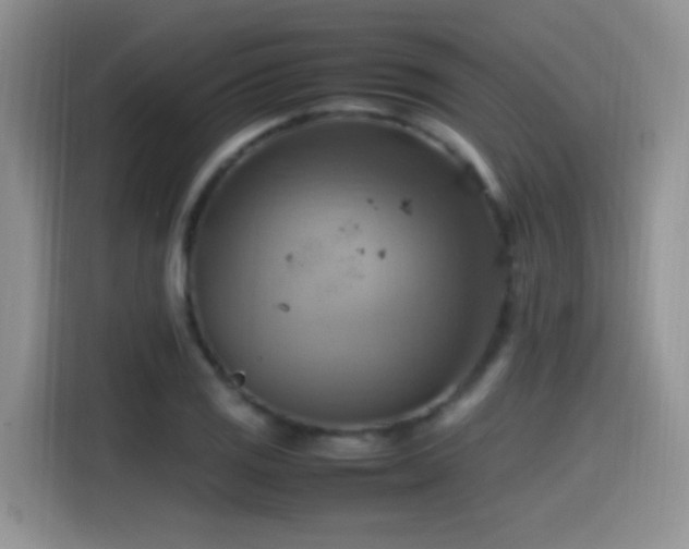 X0000115561125200911061548