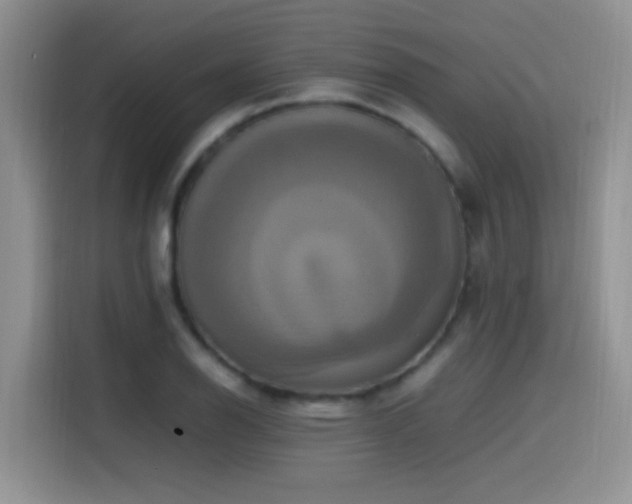 X0000115561126200911061548
