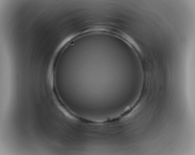 X0000115561127200911061548
