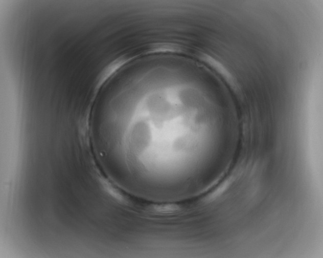 X0000115561129200911061548