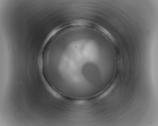 X0000115561130200911061548