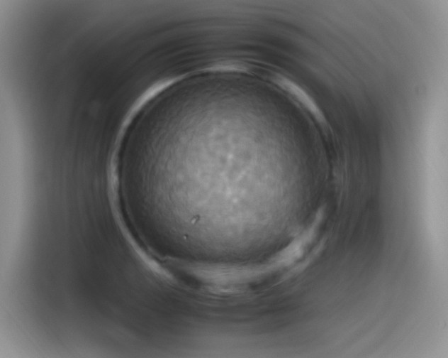 X0000115561133200911061548