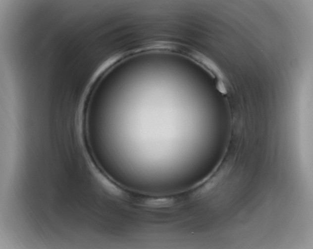 X0000115561135200911061548