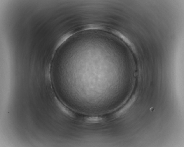 X0000115561137200911061548