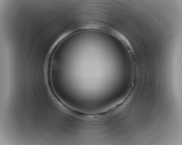 X0000115561138200911061548