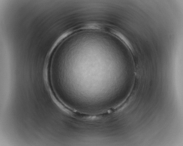 X0000115561139200911061548