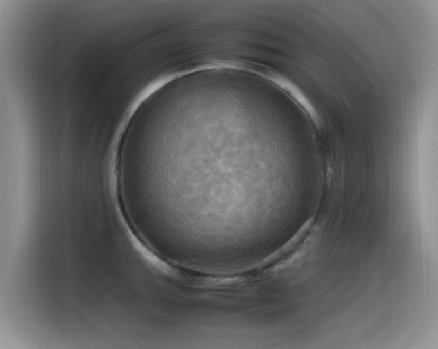 X0000115561143200911061548