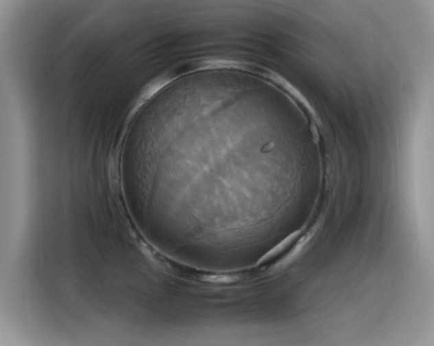 X0000115561145200911061548