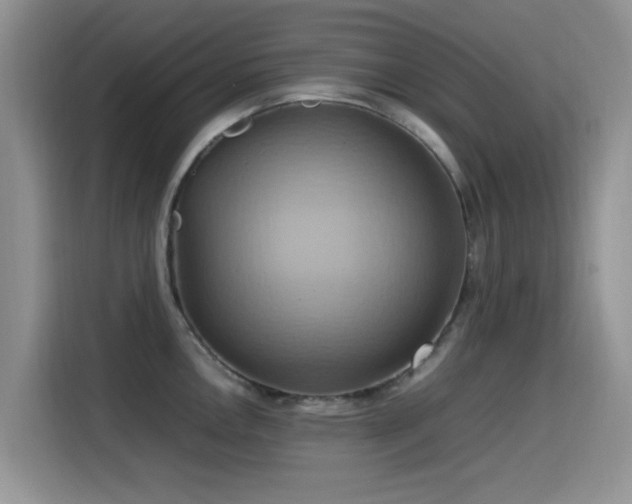 X0000115561146200911061548