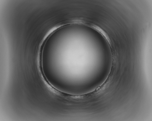 X0000115561147200911061548
