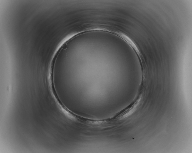 X0000115561149200911061548