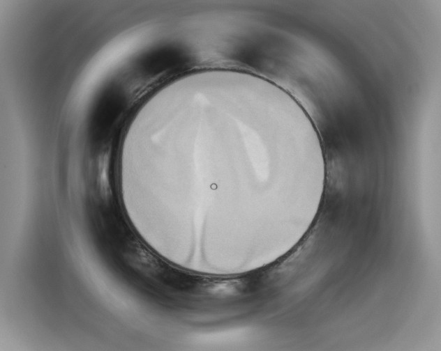 X0000115561150200911061548