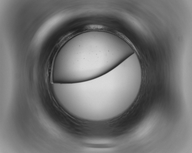 X0000115561151200911061548