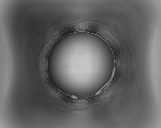 X0000115561153200911061547