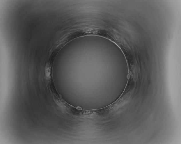 X0000115561154200911061547