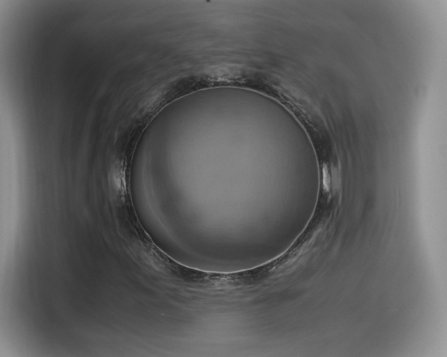 X0000115561155200911061547