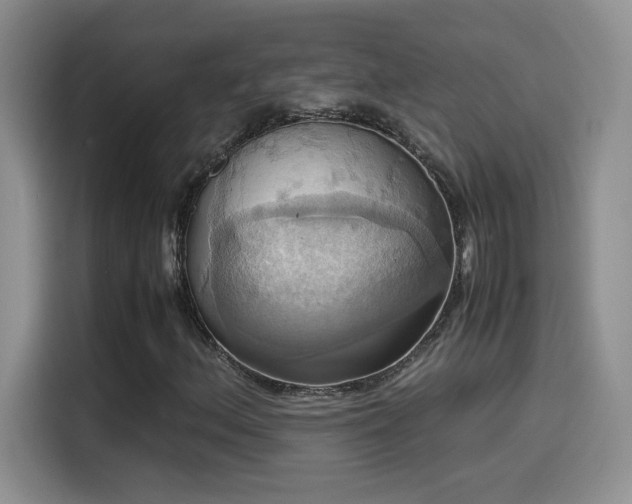 X0000115561156200911061547