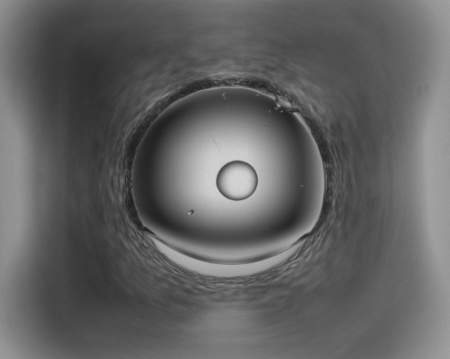 X0000115561157200911061547