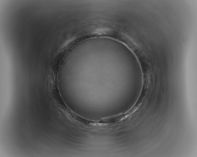 X0000115561158200911061547