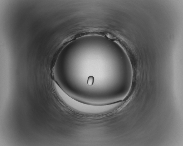 X0000115561161200911061547