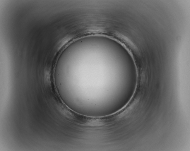 X0000115561162200911061547