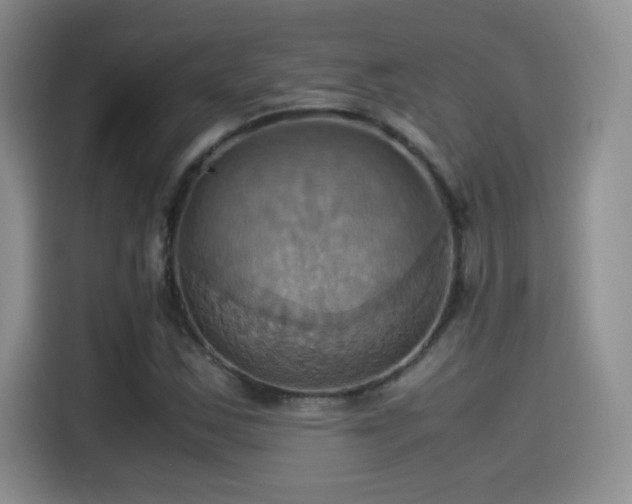 X0000115561163200911061547