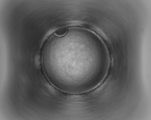 X0000115561164200911061547