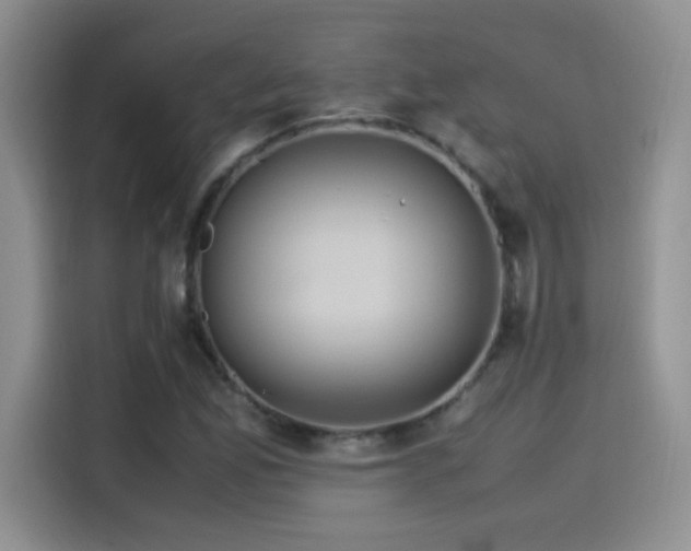 X0000115561165200911061547
