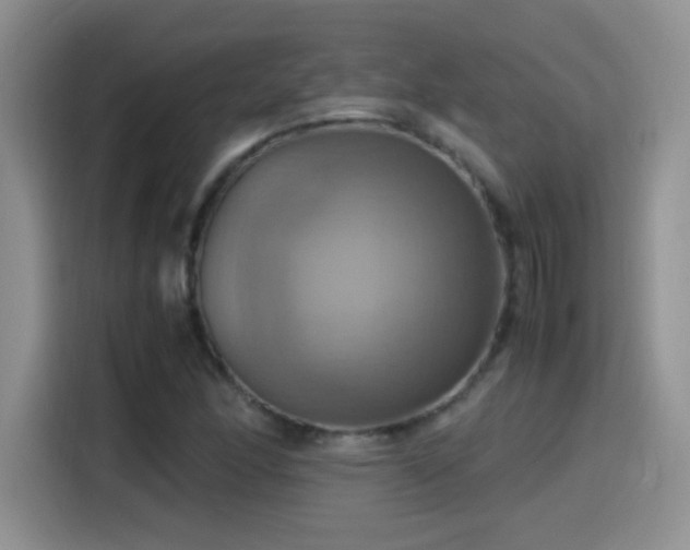 X0000115561166200911061547