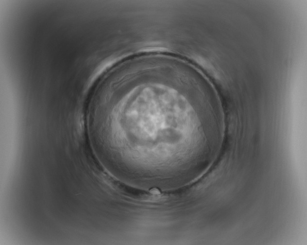 X0000115561167200911061547