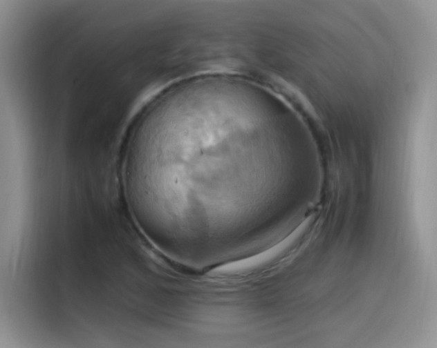 X0000115561168200911061547