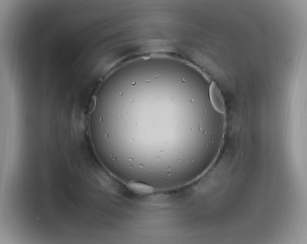 X0000115561169200911061547