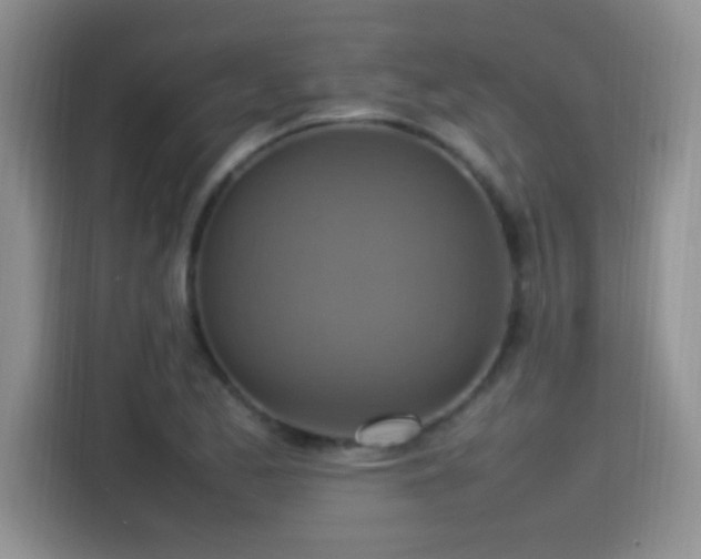 X0000115561173200911061547