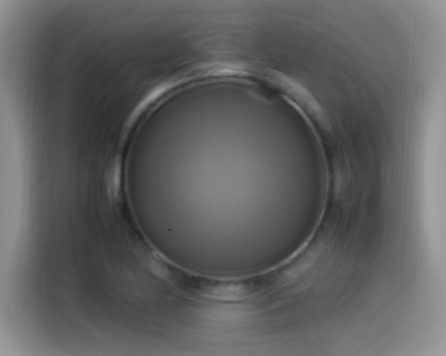 X0000115561174200911061547