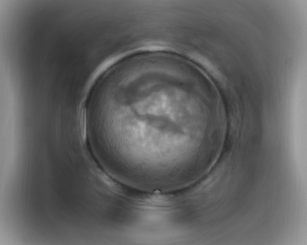 X0000115561175200911061547