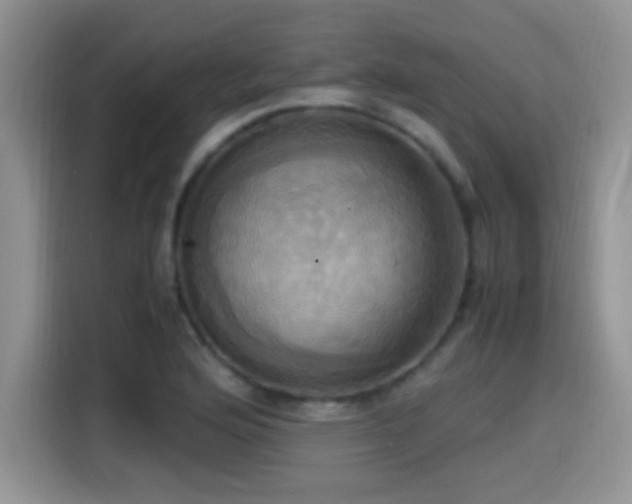X0000115561176200911061547