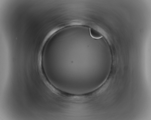 X0000115561179200911061547