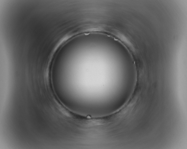 X0000115561181200911061547