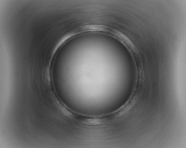 X0000115561182200911061547