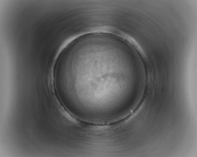 X0000115561184200911061547