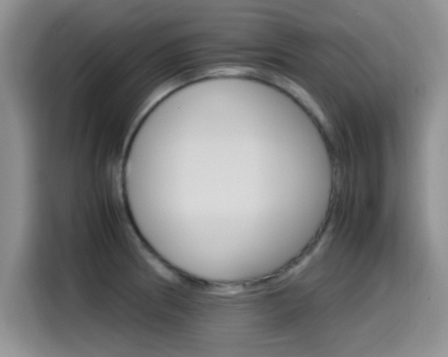X0000115561186200911061547