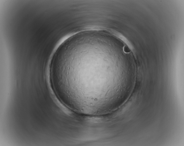 X0000115561187200911061547