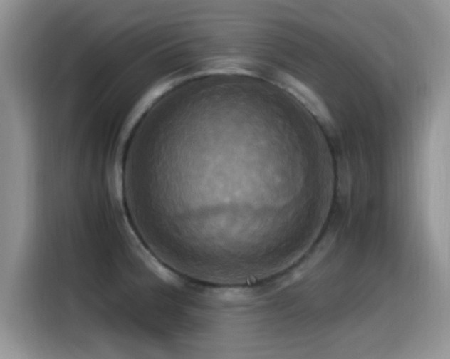 X0000115561188200911061547